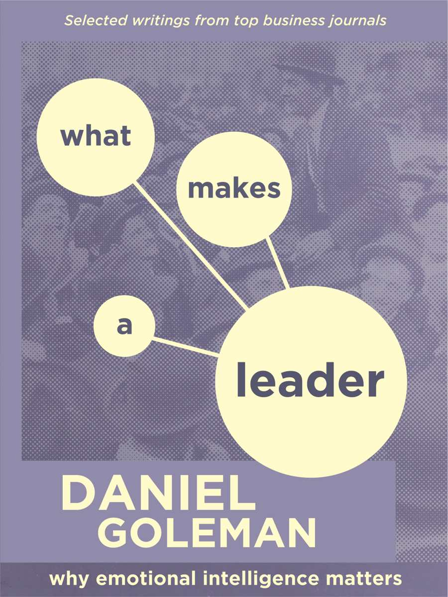 What Makes A Leader: Why Emotional Intelligence Matters