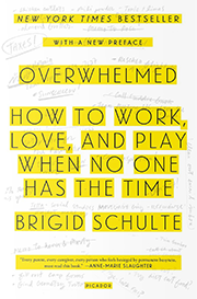 Overwhelmed: Work, Love and Play When No One Has the Time
