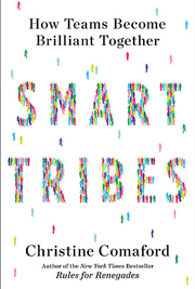 SmartTribes: How Teams Become Brilliant Together 