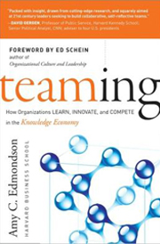 Teaming: How Organizations Learn, Innovate, and Compete in the Knowledge Economy 