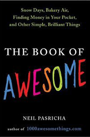 The Book of Awesome